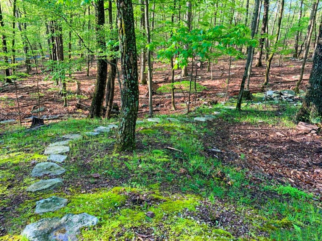 Chalet W Hot Tub, Large Deck, Grill, & Fast Wifi Berkeley Springs Eksteriør billede